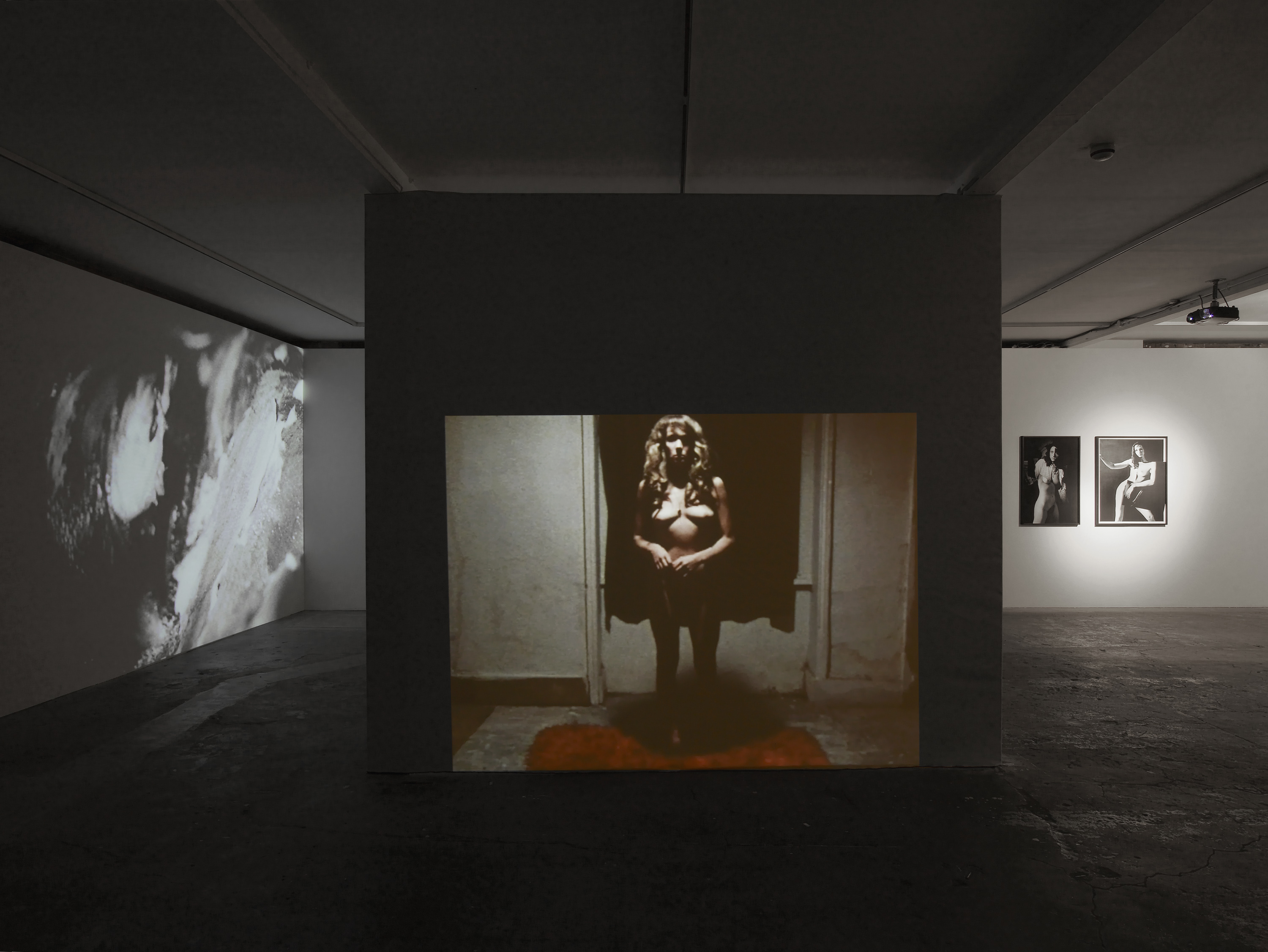 Stephen Dwoskin, 2015, Vilma Gold, London, installation view. Stephen Dwoskin