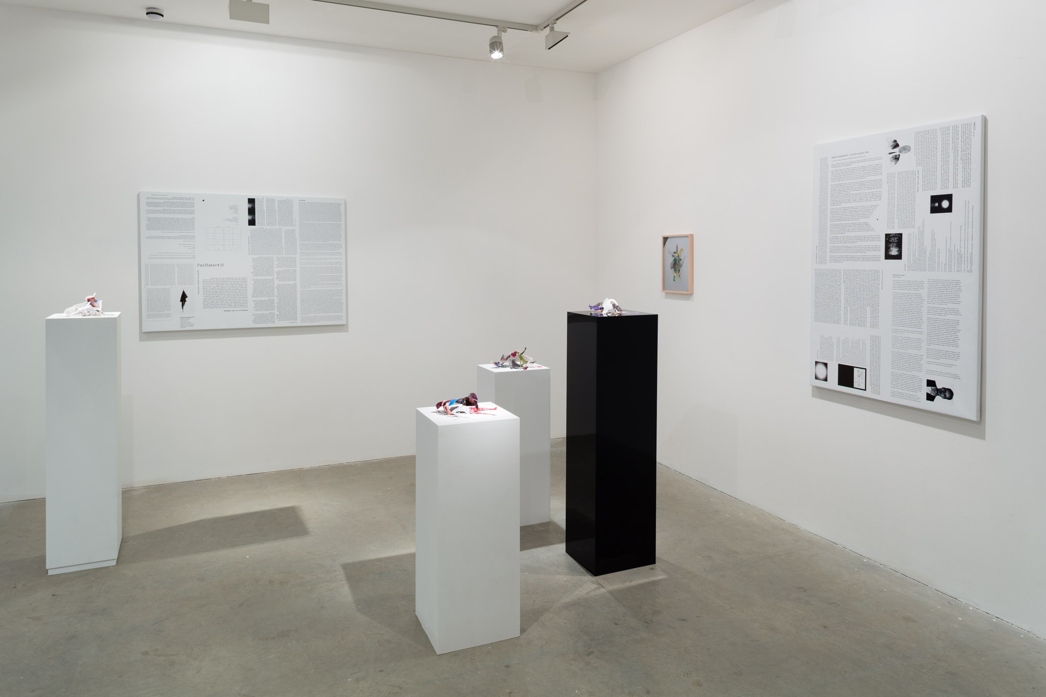Exhibition view. Adriana Lara, Josef Strau & Perros Negros