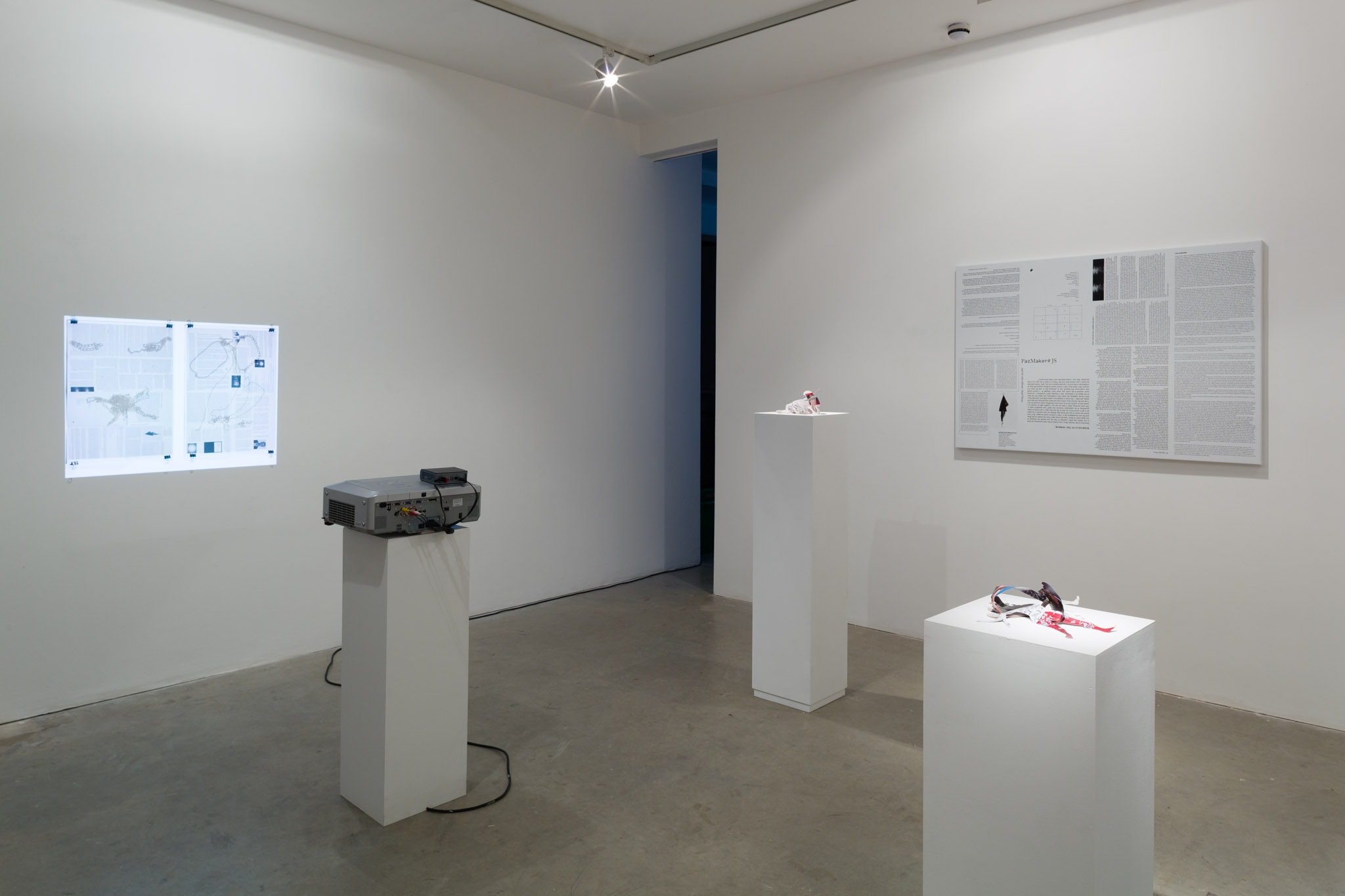 Exhibition view. Adriana Lara, Josef Strau & Perros Negros