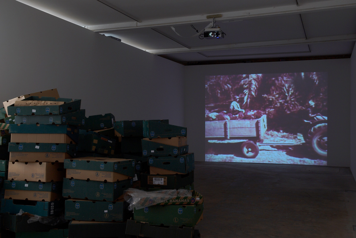 Installation view. Some Answers To A Few Questions About Bananas
, Michael Stevenson